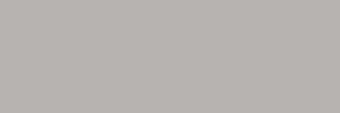 Billede af Rako Color One Grå Blank Væg Rekt. 298x898 mm