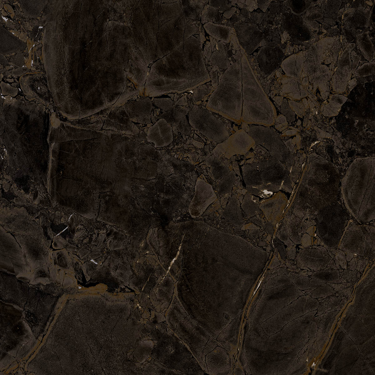 The Room Infinity Brazil 60x60 cm (RM - Mat) │ Colour Ceramica A/S