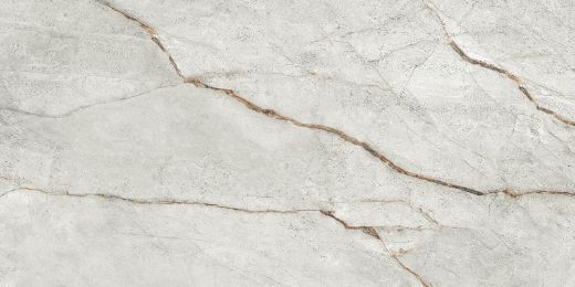 Billede af The Room Grey Roots 60x120 cm (RM - Mat)
