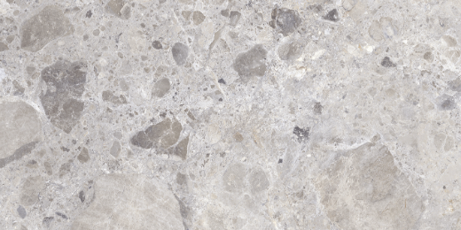 Billede af CC Stone Grey 298x600 mm