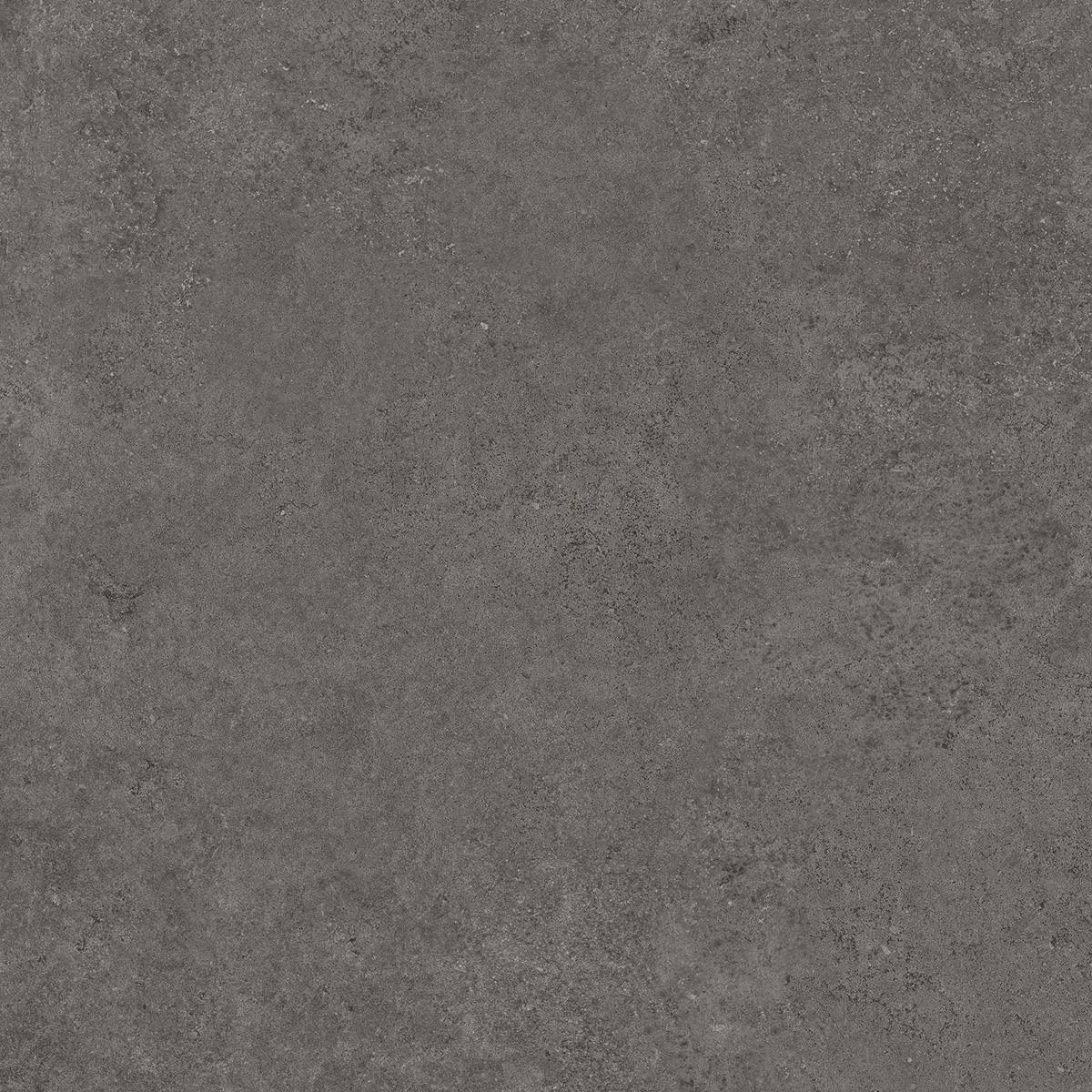 Stoncrete Dark Grey 60x60 cm (RM - Mat) │ Colour Ceramica A/S