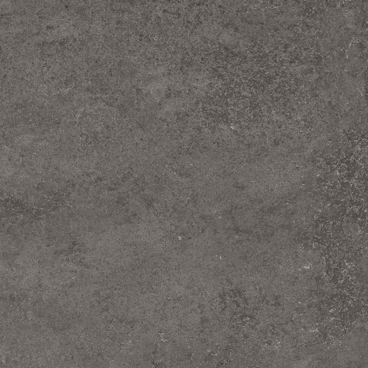 Stoncrete Dark Grey 60x60 cm (RM - Mat) │ Colour Ceramica A/S