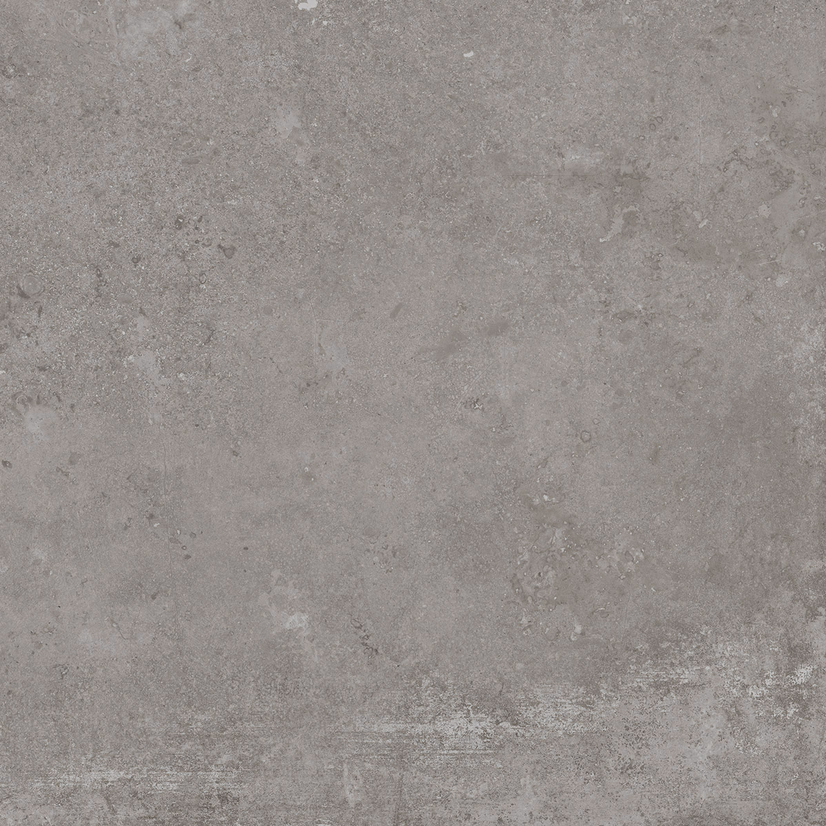 Stoncrete Grey 60x60 cm (RM - Mat) │ Colour Ceramica A/S