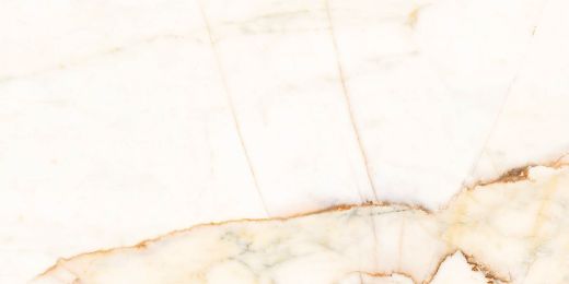 Billede af Aesthetica Calacatta Paonazzo 60x120 cm (LPM - Matpoleret)