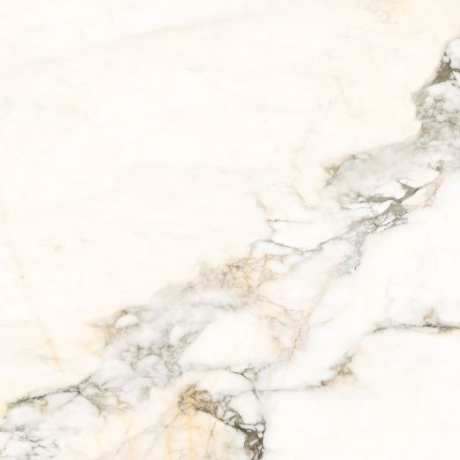 Billede af Aesthetica Calacatta Paonazzo 120x120 cm (LPM - Matpoleret)