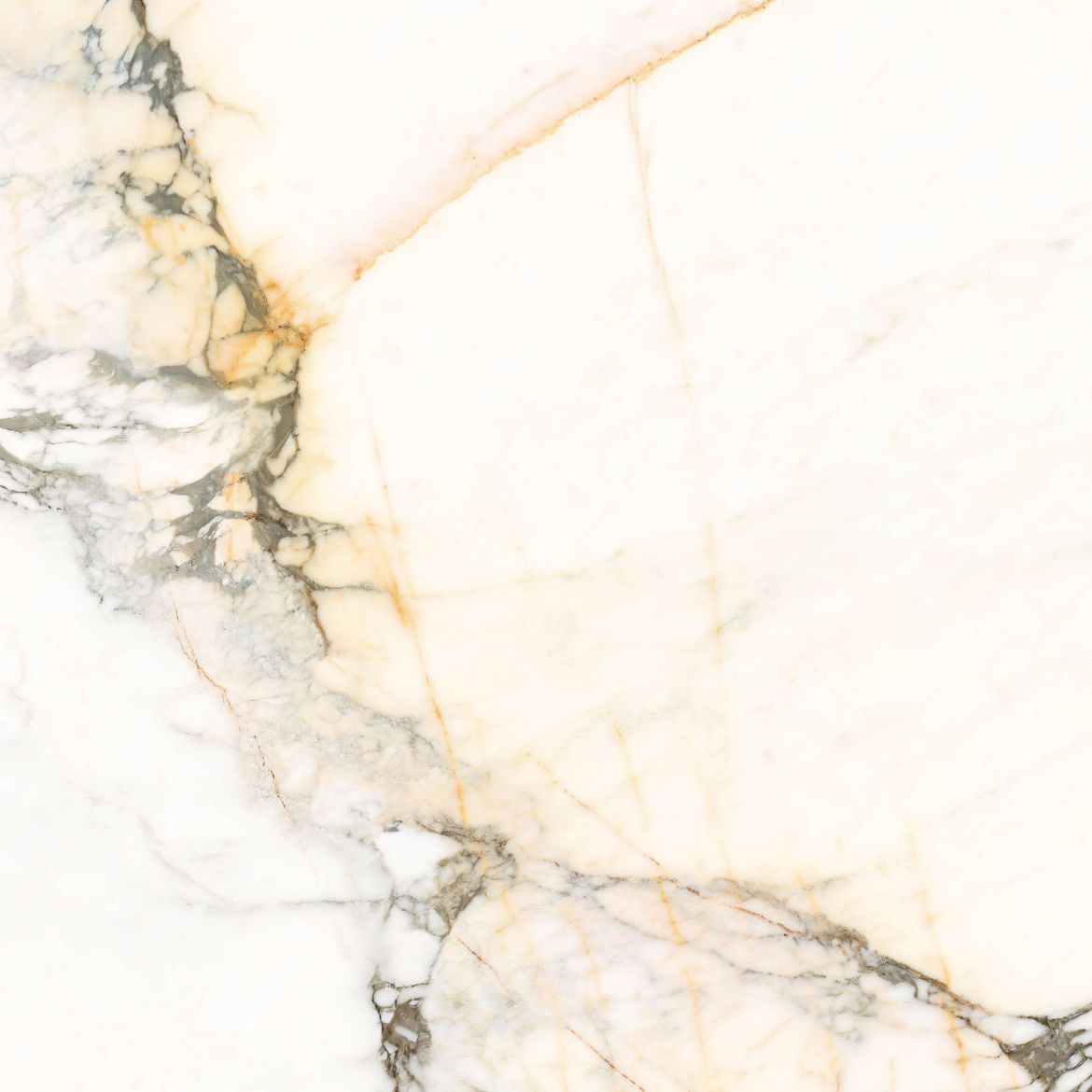 Billede af Aesthetica Calacatta Paonazzo 120x120 cm (LP - Poleret)