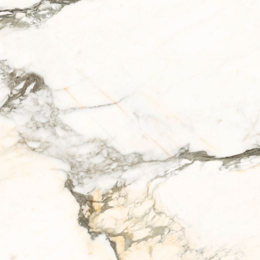 Billede af Aesthetica Calacatta Paonazzo 120x120 cm (LP - Poleret)