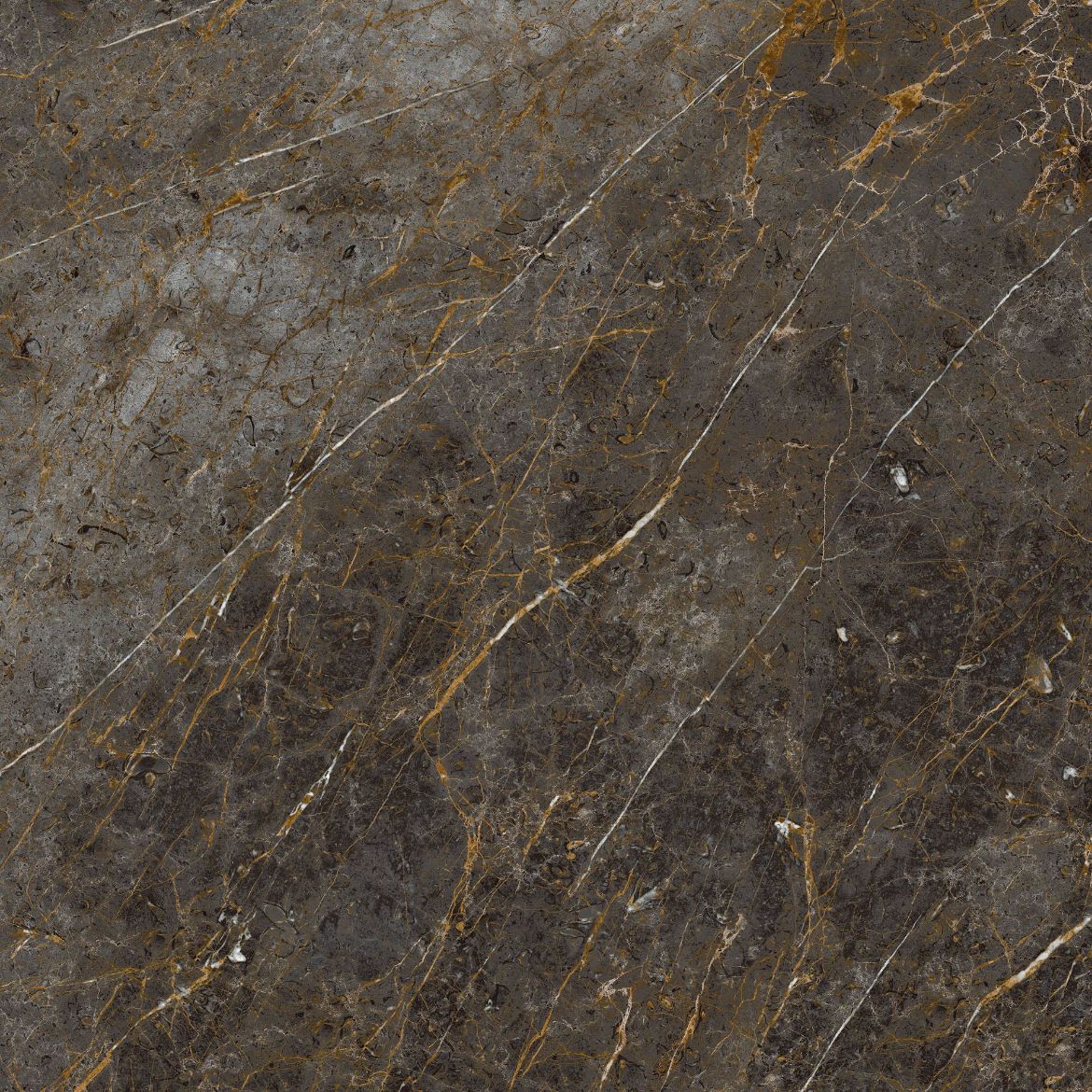 Billede af Aesthetica Golden Black 120x120 cm (LP - Poleret)