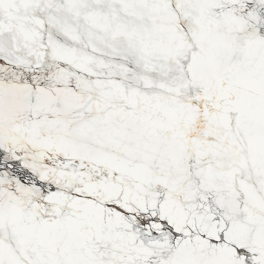 Billede af Aesthetica Paonazzetto 120x120 cm (RM - Mat)