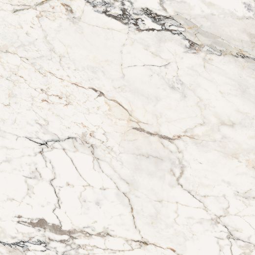 Billede af Aesthetica Paonazzetto 120x120 cm (RM - Mat)