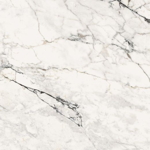 Billede af Aesthetica Paonazzetto 120x120 cm (LP - Poleret)