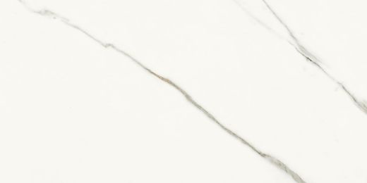 Billede af Aesthetica Statuario Extra White 60x120 cm (RM - Mat)