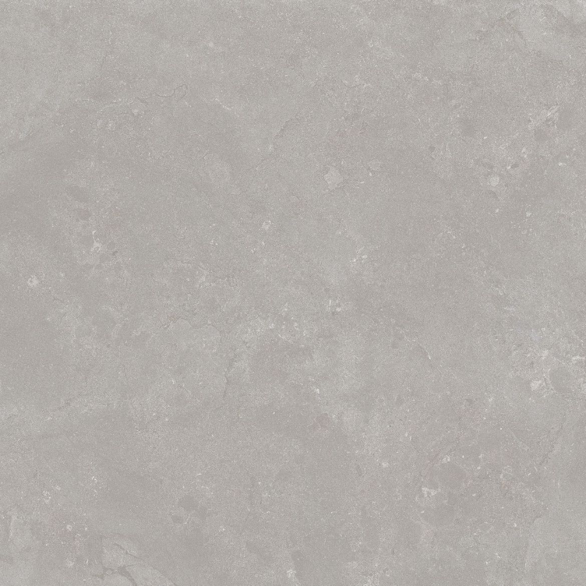 Billede af Algarve Grigio 120x120 cm (RM - Mat)