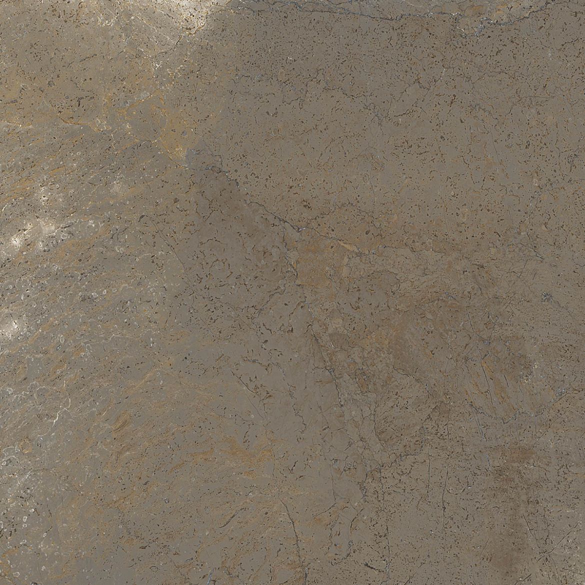 Billede af Trex3 Tortora 60x60 cm (RM - Mat)