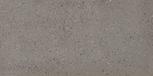 Billede af Overcome Grey 60x120 cm (LLL - Højglanspoleret)