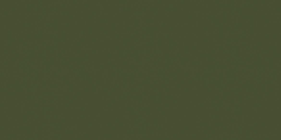 Billede af CC Pro Avocadogrøn Mat Uglaseret 297x597 mm