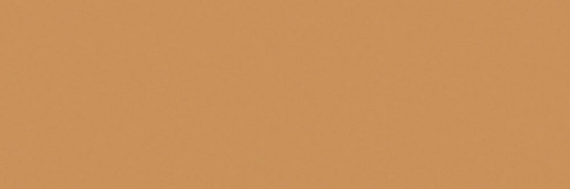 Billede af Croma Frond Mat Væg 10x30 cm