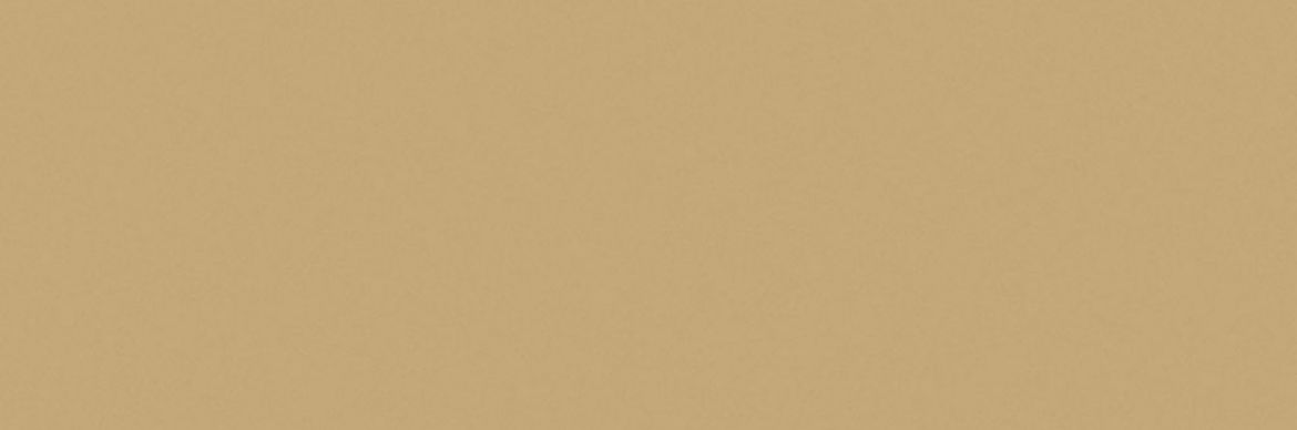 Billede af Croma Mojave Mat Væg 10x30 cm