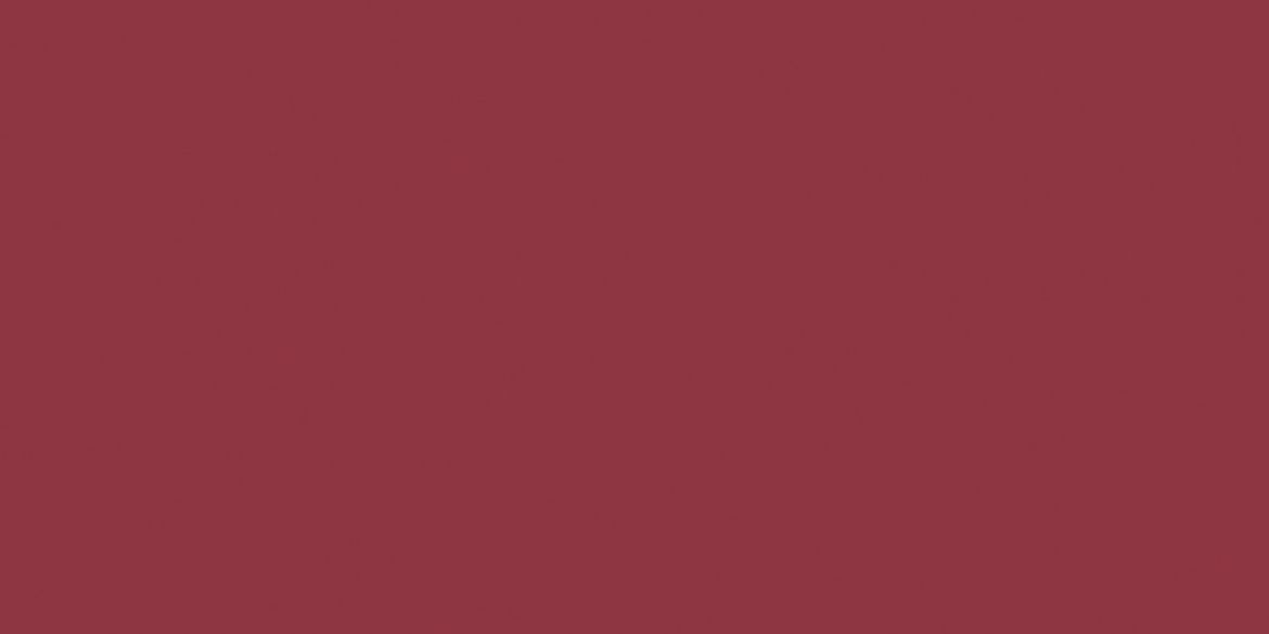 Billede af Mono Bordeaux Mat Gulv/Væg 97x197 mm